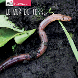 Documentaire • Le ver de terre